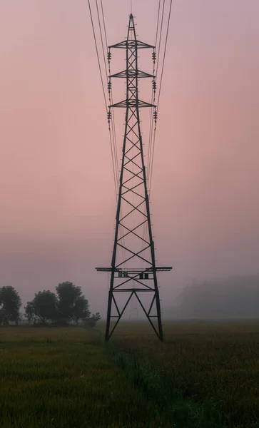 Early morning mist in the rural village electric pylon in the middle of a paddy field, wires leads the viewer ayes to the tall standing pole in the middle in the landscape photograph.