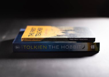 Galle, Sri Lanka - 04 07 2021: Masanın üstüne istiflenmiş iki kitap.