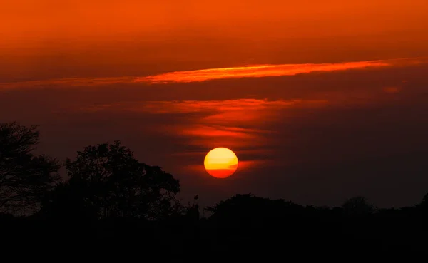 Coucher Soleil Panoramique Sur Limite Des Arbres Dans Soirée Village — Photo