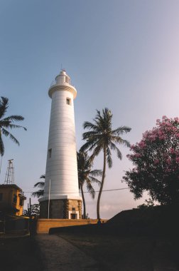 Akşam güneşinde parlayan deniz feneri, Galle Hollanda kalesi, palmiye ağaçları ve maliyet manzaralı manzara fotoğrafı. Sri Lanka 'nın en eski ışık istasyonu, turistik mekan ve dünya mirası..
