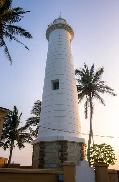 Leuchtturm Leuchtet Der Abendsonne Galle Dutch Fort Palmen Und Die — Stockfoto