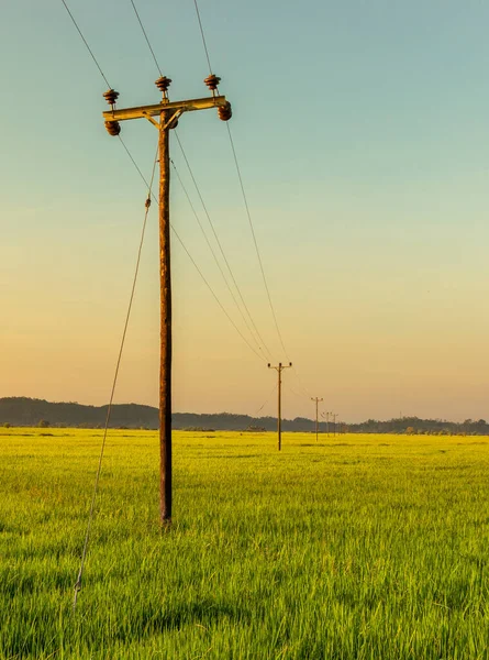 Çarpıcı kırsal araziler, ahşap enerji direkleri ve güzel sabah güneşinde ufukta kaybolan elektrik kabloları.,
