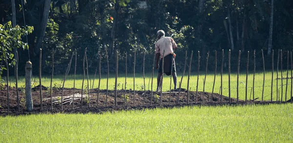 Vesnický Farmář Zahradním Rýčem Orá Půdu — Stock fotografie