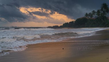 Romantic evening and the dramatic sunset on the beach in paradise island of Sri Lanka. Powerful tides crashing and washing the sandy beach.