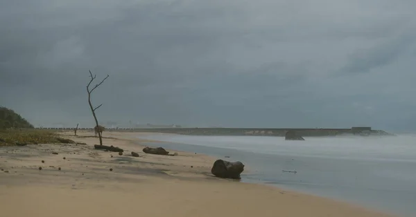 Empty Sandy Beach Paradise Island Sri Lanka Evening Long Exposure — Fotografia de Stock