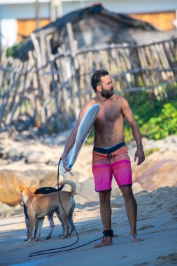 Ahangama, Sri Lanka - 02: 14: 2025: Sahilde sörfçülük yapan neşeli bir sörfçü arkasında neşeli köpeklerle. Rahat bir sörf hayatı ve tropikal bir kıyı atmosferinin sıcaklığı.