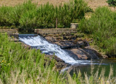 Horton Plains Ulusal Parkı 'nda, dağlık çalılar ve açık çayırlarla çevrili yumuşak katmanlı bir şelale.