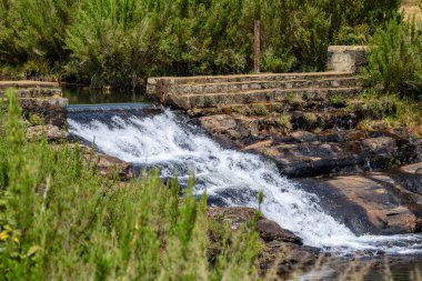 Horton Plains Ulusal Parkı 'ndaki dağlık çalılar ve açık otlaklarla çevrili sakin bir havuza yumuşak katmanlı bir şelale düşüyor..