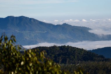 Alçak bulutların üzerindeki sisli orman dağları merkez dağlık bölgelerde serin bir yağmur ormanı manzarasını ortaya çıkarıyor.