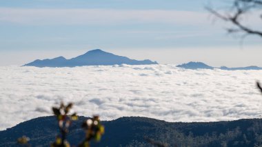 Bulutlar denizi, Nuwara Eliya, Sri Lanka 'da açık mavi gökyüzünün altındaki dağları ormanlaştırdı.