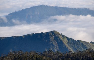 Alçak bulutların üzerindeki sisli orman dağları merkez dağlık bölgelerde serin bir yağmur ormanı manzarasını ortaya çıkarıyor.