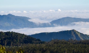 Bulutlar Nuwara Eliya, Sri Lanka 'daki katmanlı orman dağlarında sürükleniyor.