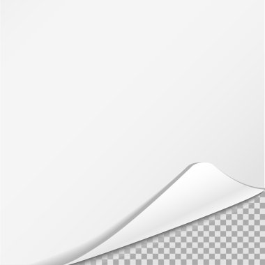 Kağıt vektör yaprak