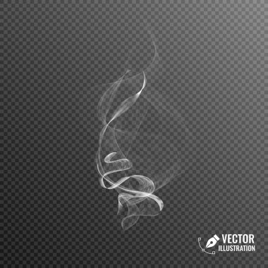 Ses vektör ekolayzır