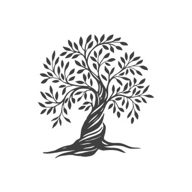 El çizimi soyut zeytin ağacı. Organik doğa sembolü. Yapraklı ağaç dalı. Doğal bitki tasarım elementleri klasik tarzda amblemler. Vektör illüstrasyonu.