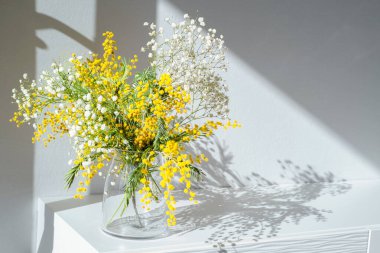 Acacia deal bata, gümüş gerdanlı ya da beyaz ev içi cam vazoda beyaz çingeneli sarı mimoza çiçeği. Otantik fotoğraf. Kadınlar günü, anneler günü. Bahar geldi. Sert gölgeler