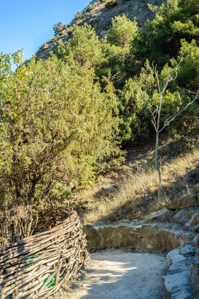 Kırım, Kırım Güney Sahili. — Stok fotoğraf