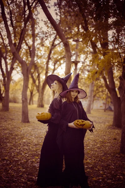Хеллоуїн, 2 дівчини в одязі відьма з гарбузом в лісі — стокове фото