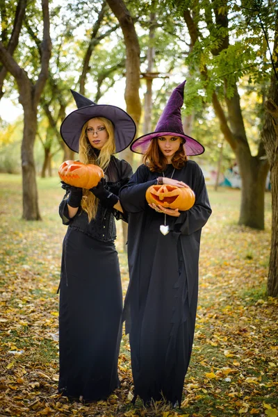 Хэллоуин, 2 девушки в одежде ведьма с тыквой в лесу — стоковое фото