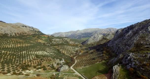 4 k antenne, vlucht langs bergen en olijven plantages, Andalusie, Spanje — Stockvideo
