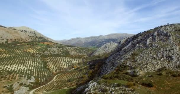 4 k antenn, flygning längs bergen och olivodlingar, Andalusien, Spanien — Stockvideo
