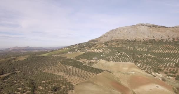 4K Aerial, Flight along mountains and olive plantations, Andalusia, Spain — Stock Video