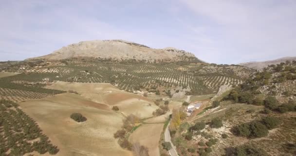 4 к антена, політ, вздовж гір та оливкових плантацій, Андалусия, Іспанія — стокове відео