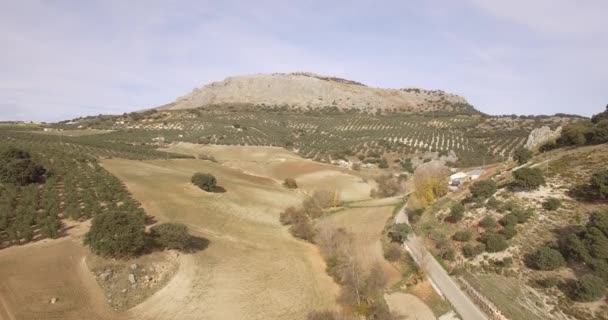 4K Aerial, Полет вдоль гор и оливковых плантаций, Андалусия, Испания — стоковое видео