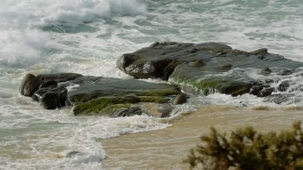200 fps 진짜 Slowmo, 해변에서 튀는 물 — 비디오
