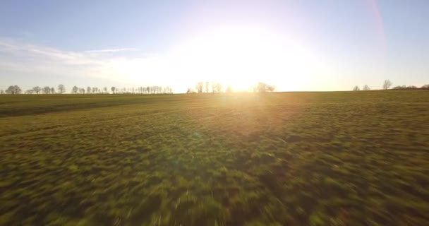 Aérea 4K, Vuelo sobre el paisaje alrededor de un pequeño pueblo en Alemania — Vídeo de stock