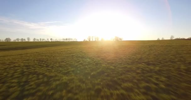 4k antény, letu nad krajinou kolem malé vesnici v Německu — Stock video