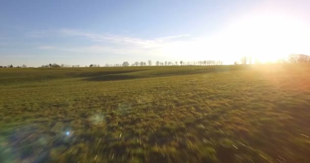 Aérea 4K, Vuelo sobre el paisaje alrededor de un pequeño pueblo en Alemania — Vídeo de stock