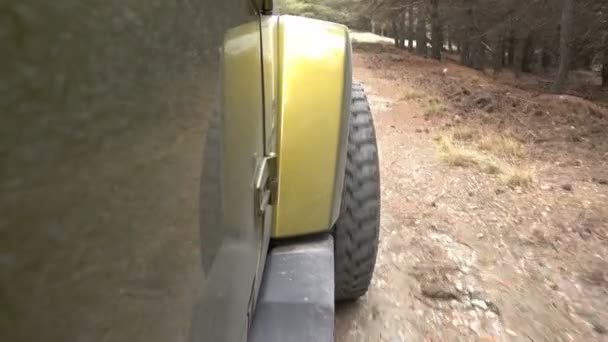 Offroad com um Jeep Wrangler JKU na floresta — Vídeo de Stock