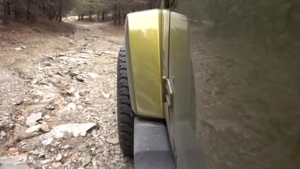 Offroad con un Jeep Wrangler JKU en el bosque — Vídeos de Stock