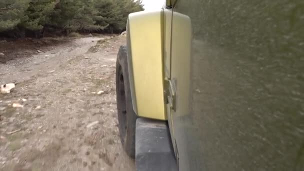Offroad z Jeep Wrangler Jku w lesie — Wideo stockowe
