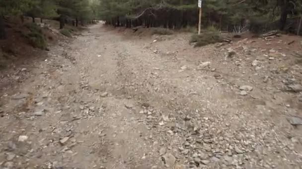 森の中のジープ ラングラー Jku とオフロード — ストック動画