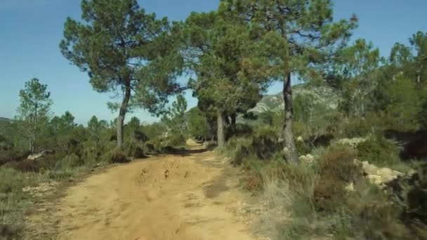 Offroad på en sandig spår, Andalusien, Spanien — Stockvideo