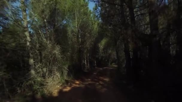 Внедорожник в андалузском лесу, Испания — стоковое видео