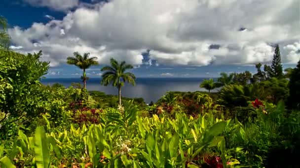 4k Zeitraffer, Garten von eden, maui, hawaii, usa — Stockvideo