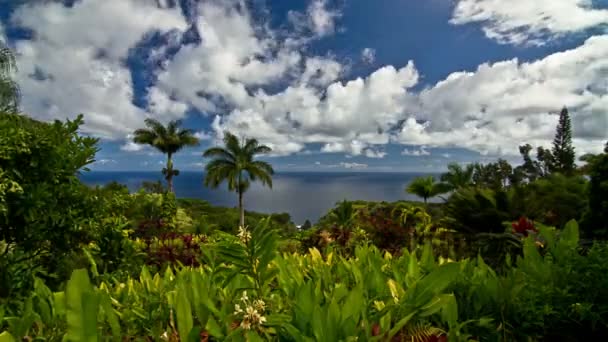 4 k Timelapse, Garden Of Eden, Maui, Hawaii, Amerikai Egyesült Államok — Stock videók