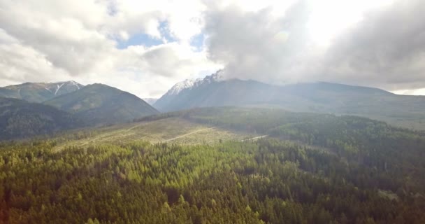 4 k luchtfoto, mooie Slowaakse bergen — Stockvideo