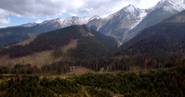 4 k anteni, antik kale, Spissky Hrad Slovakya - — Stok video