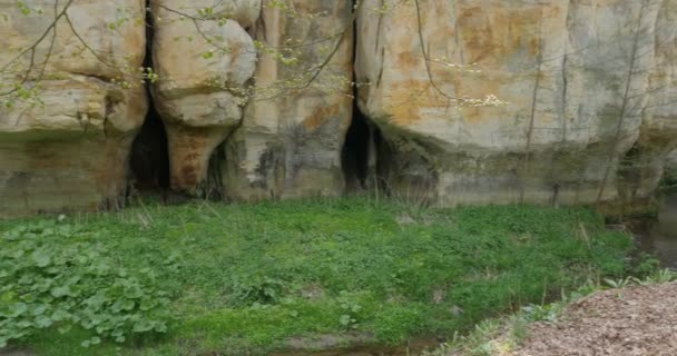 4K, Dolni Adrspach-Teplice Rocks, Чешская Республика — стоковое видео