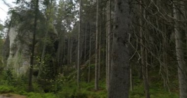 4k, Dolni Adrszpach-Teplice Rocks, Çek Cumhuriyeti