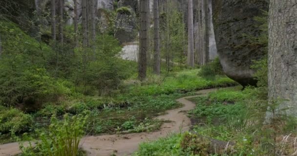 4K, Dolni Adrspach-Teplice Rocks, República Checa — Vídeo de stock