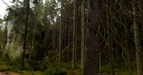 4K, Dolni Adrspach-Teplice Rocks, República Checa — Vídeo de Stock