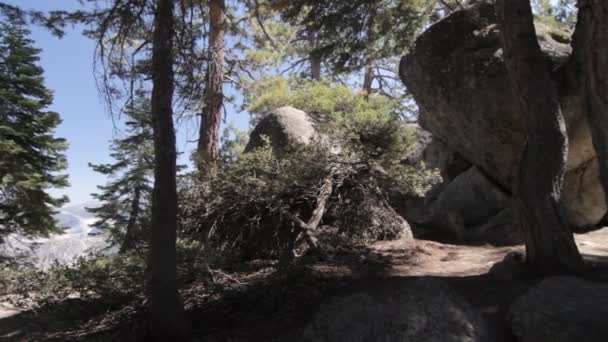 Yosemite Nationalpark, Amerika Birleşik Devletleri — Stok video