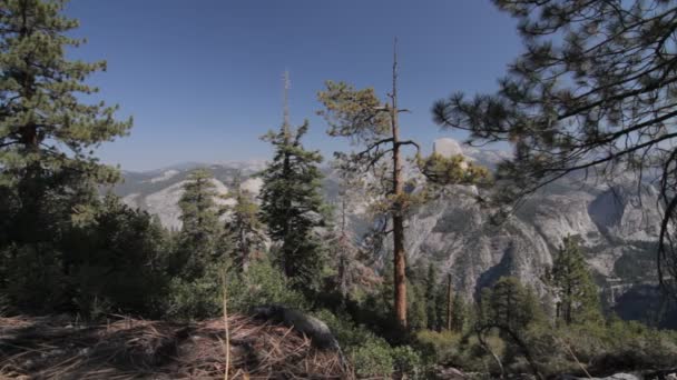 Yosemite Nationalpark, Estados Unidos — Vídeo de Stock