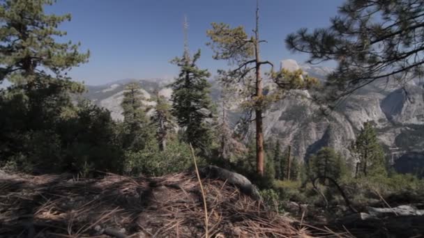 Yosemite Nationalpark, Ηνωμένες Πολιτείες της Αμερικής — Αρχείο Βίντεο