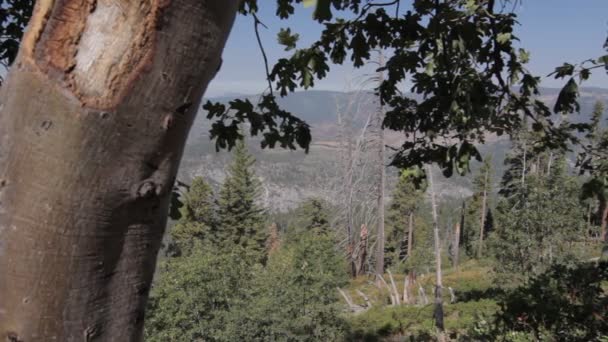ヨセミテ国立公園、アメリカ合衆国 — ストック動画